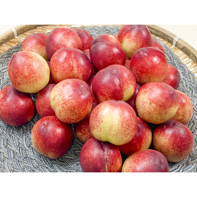 [더기다림]고당도 신비 복숭아 소과 12과 ~ 14과 1KG